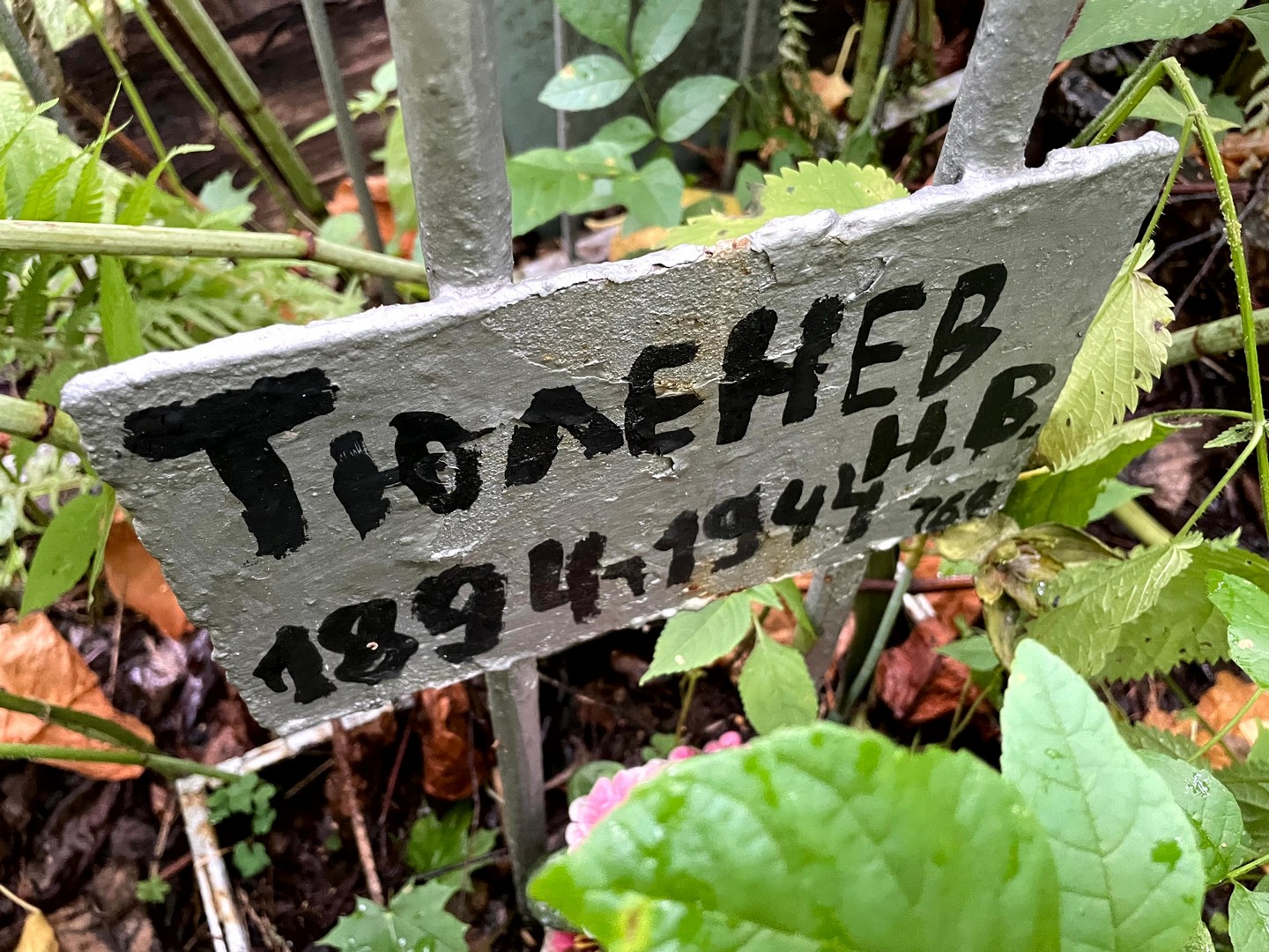 Н Тюленев В