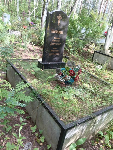 Швецова Анна Михайловна