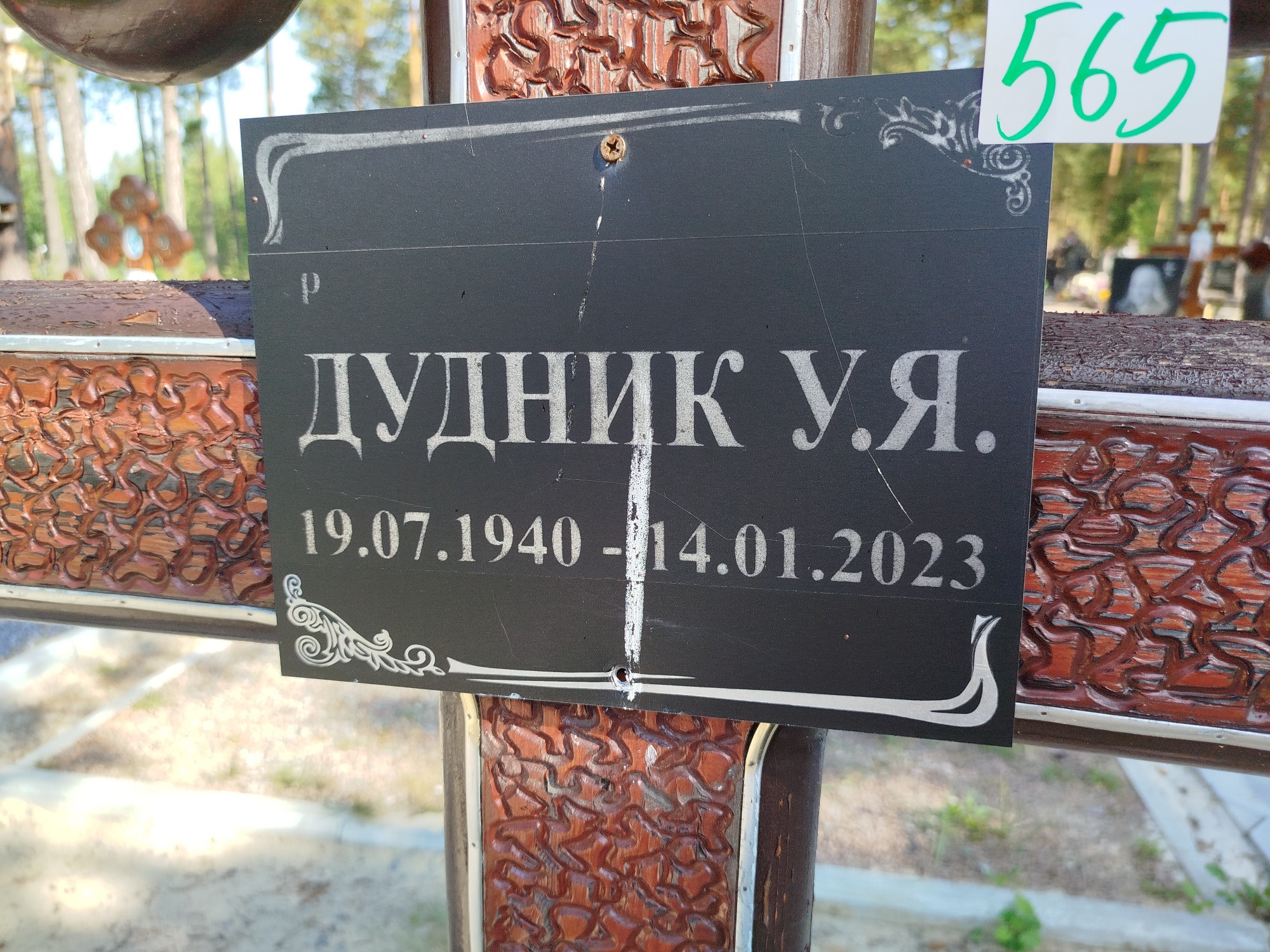 Дудник У Я