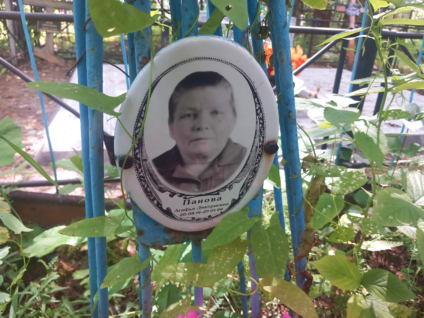 Панова Агафья Дмитриевна