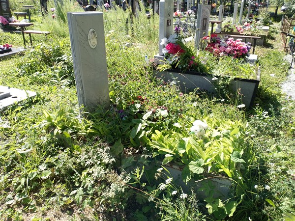 Селяпкин Владимир Григорьевич