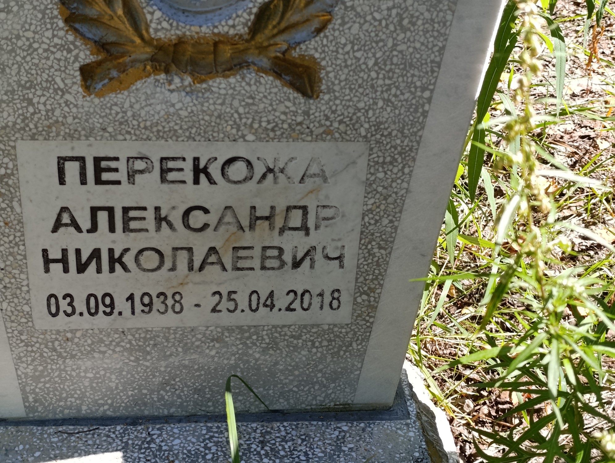Перекожа Александр Николаевич
