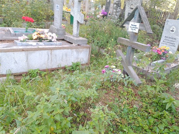 Русских Анисья Александровна