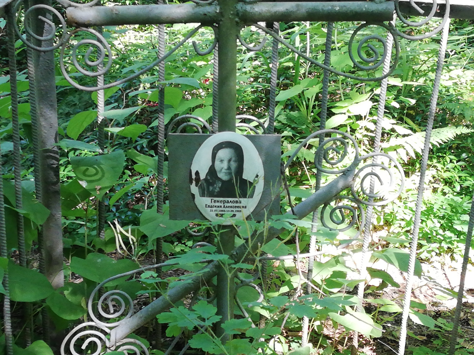 Генералова Евдокия Алексеевна