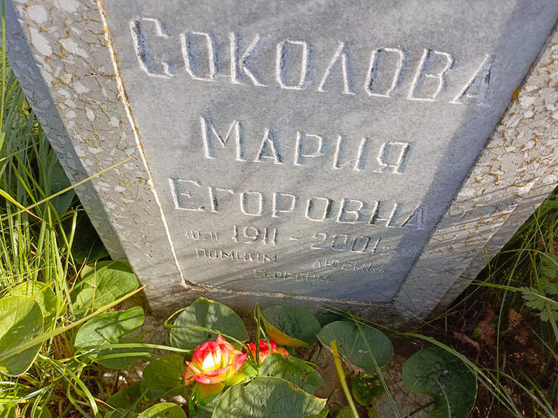 Соколова