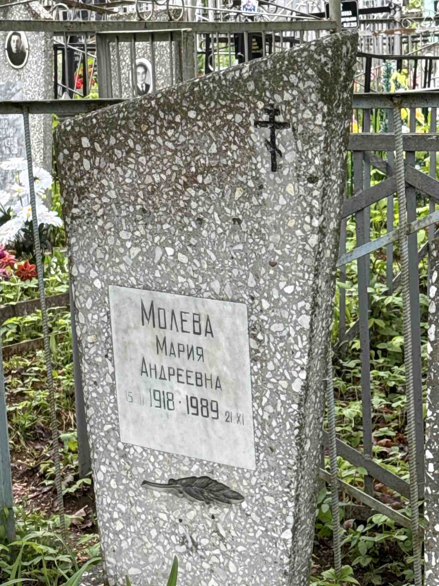 Молева Мария Андреевна