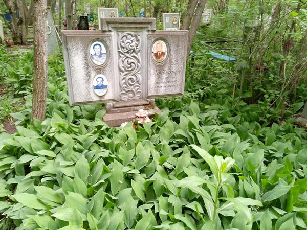 Мордвинов Ануфрий Степанович