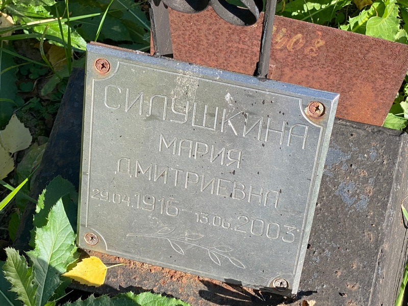 Силушкина