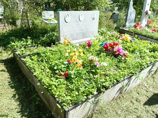 Устьянцева Мария Семеновна