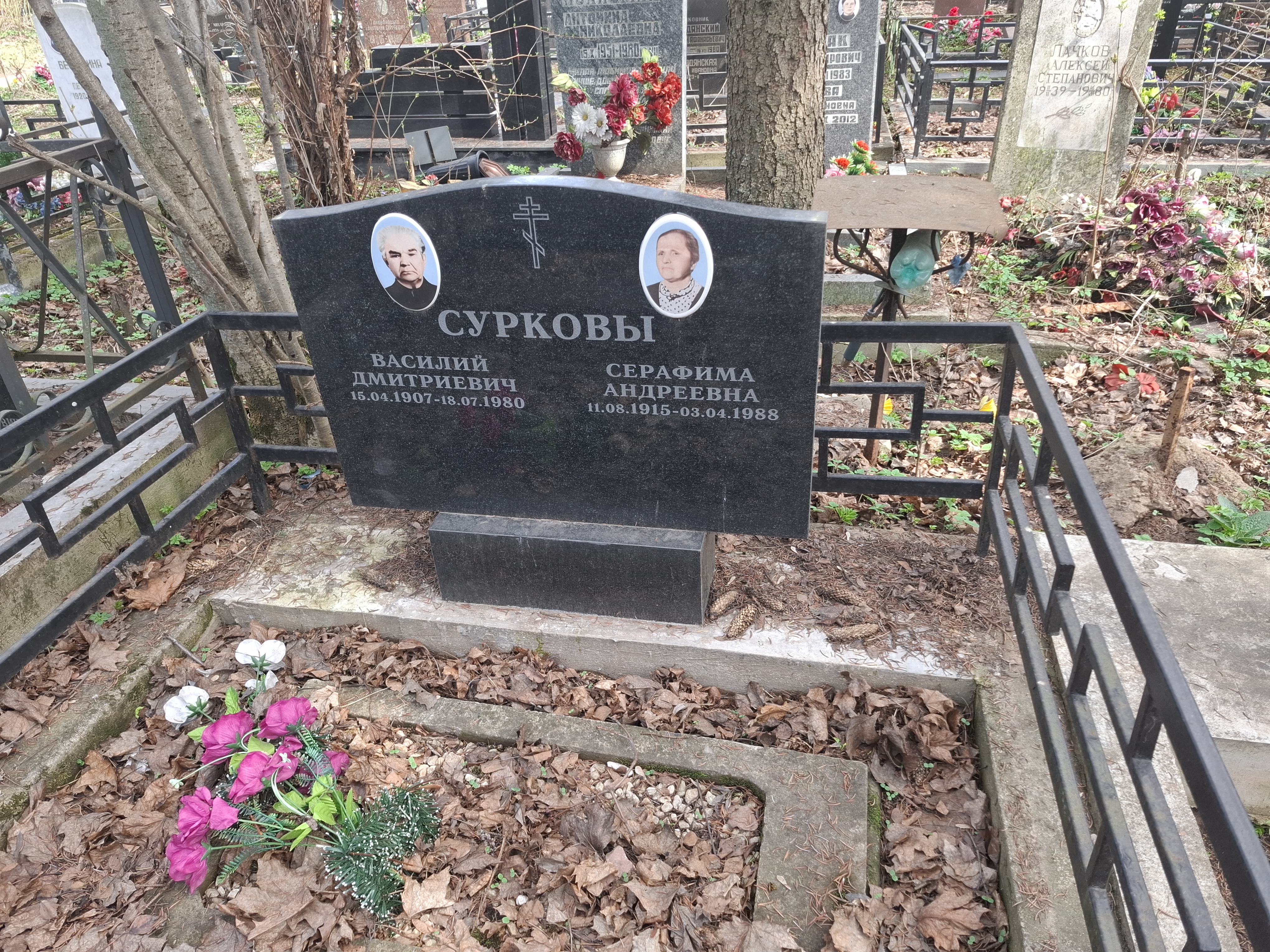 Сурков Василий Дмитриевич