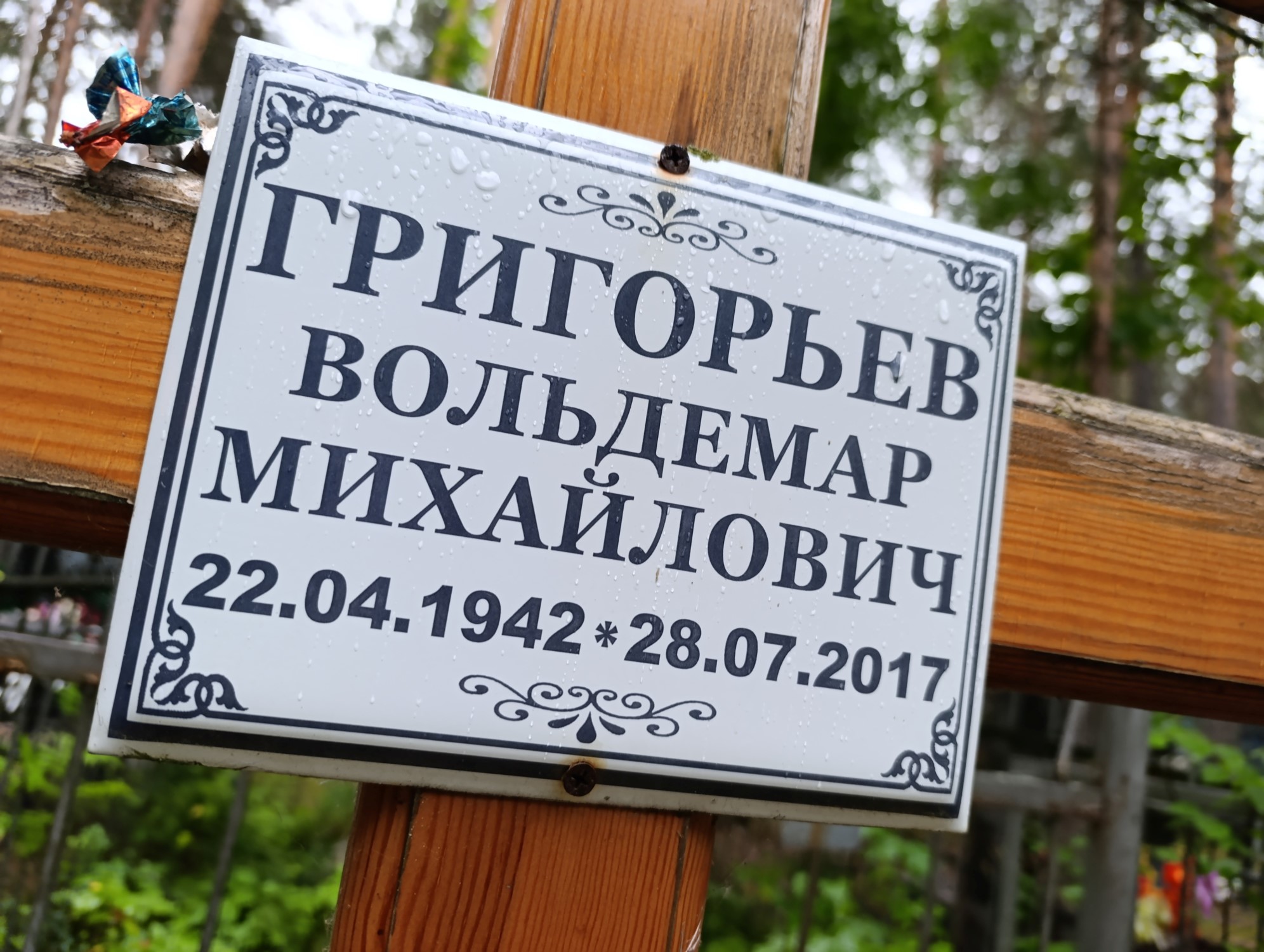 Григорьев Вольдемар Михайлович