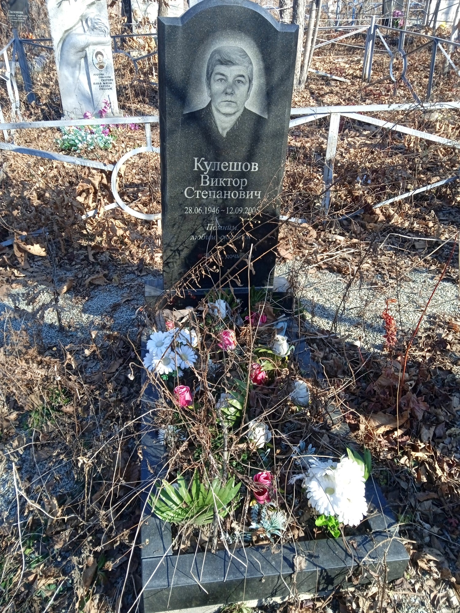 Кулешов Виктор Степанович