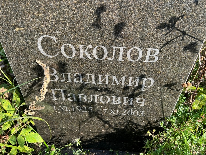 Соколов