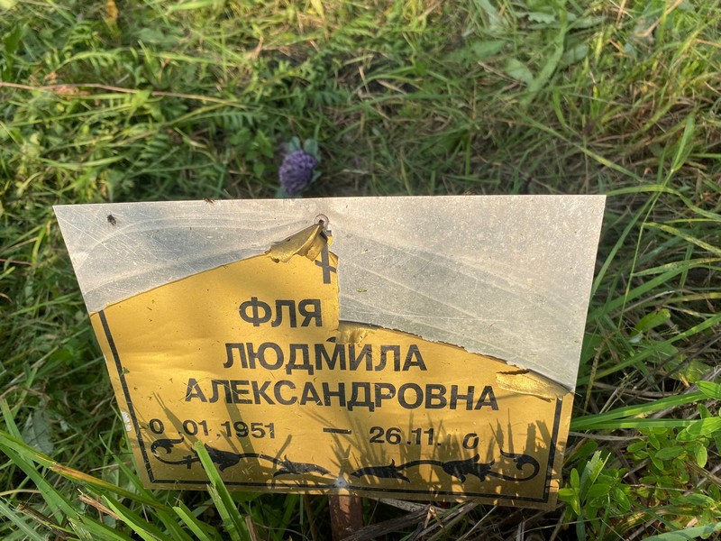 Флягина