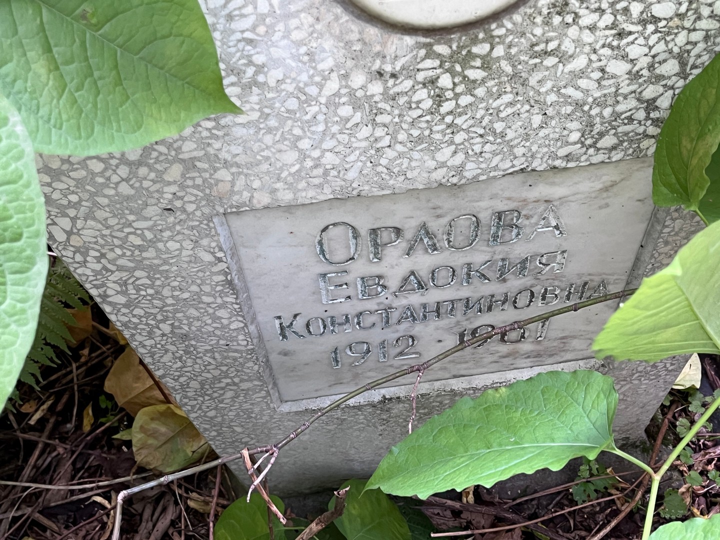 Орлова