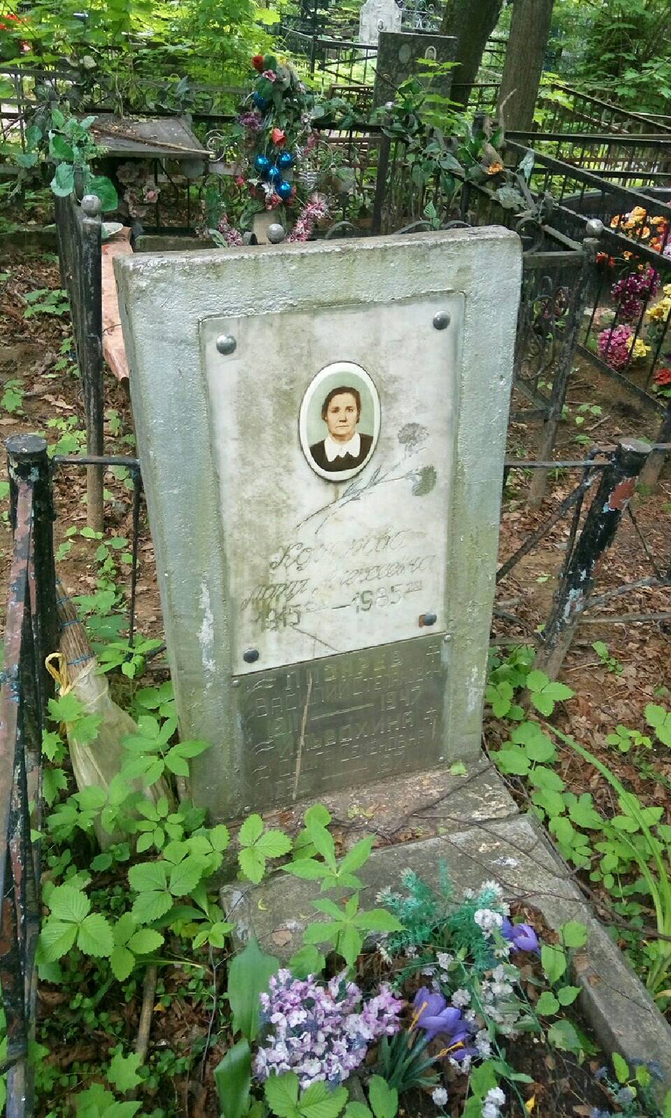 Комарова Мария Алексеевна