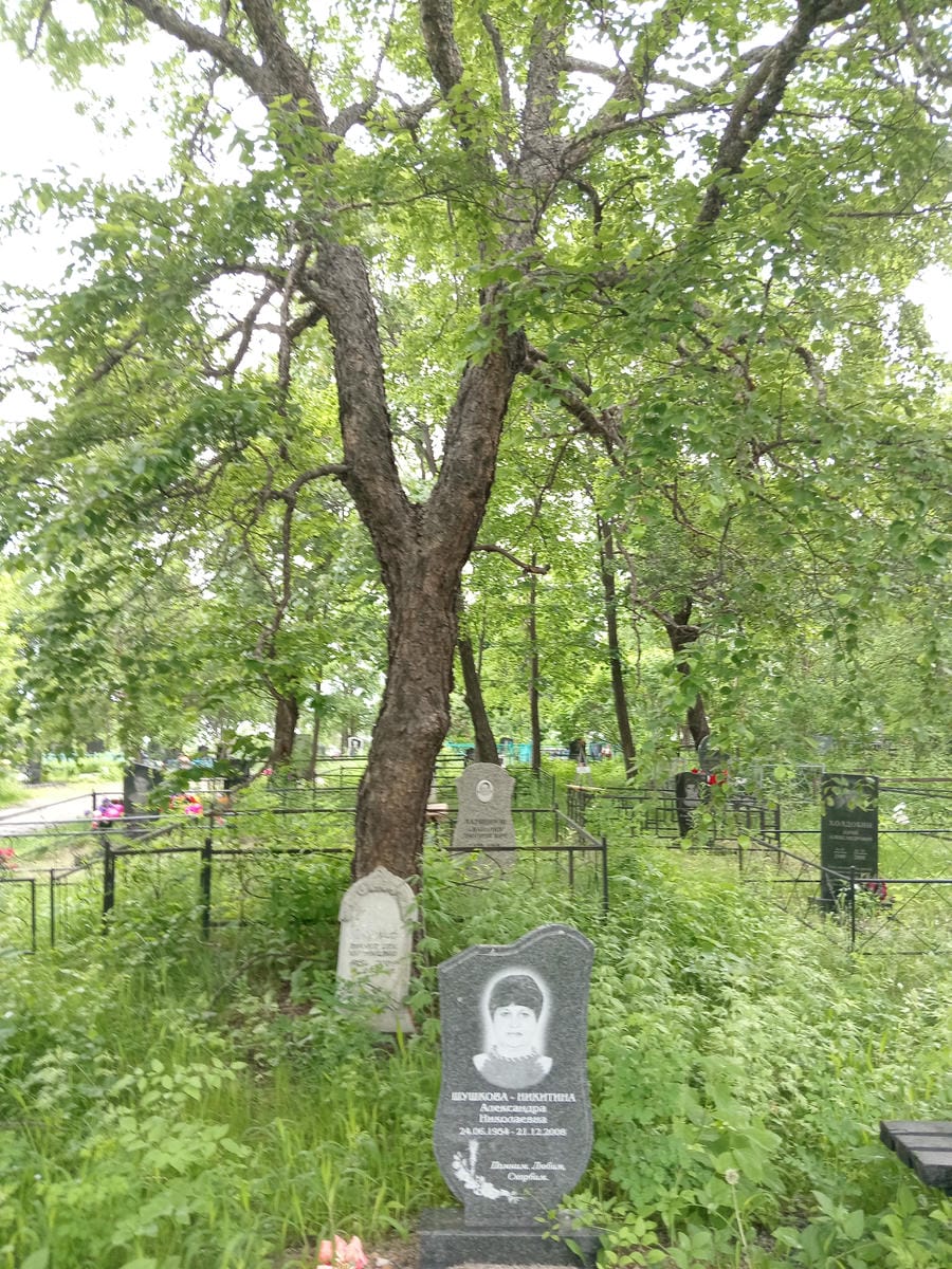 Шушкова Никитина Александра