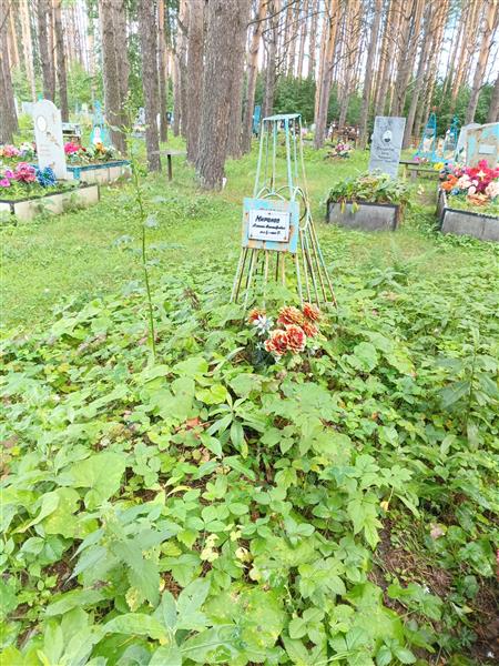 Миронов Алексей Александрович