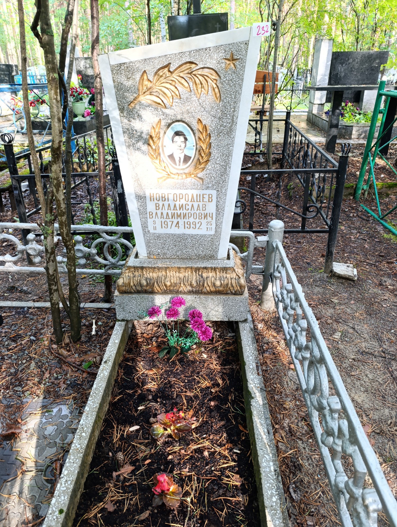 Новгородцев Владислав Владимирович