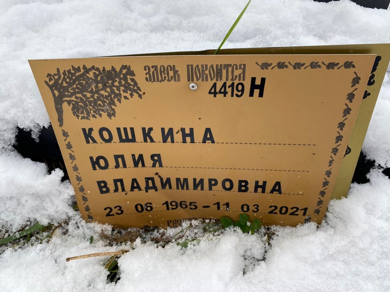 Кошкина