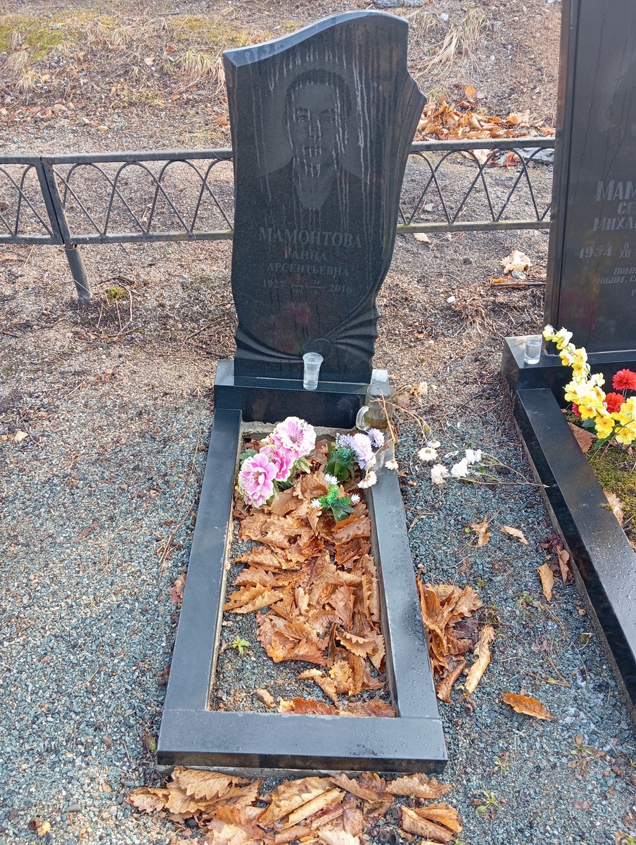 Мамонтова Анна Арсентьевна
