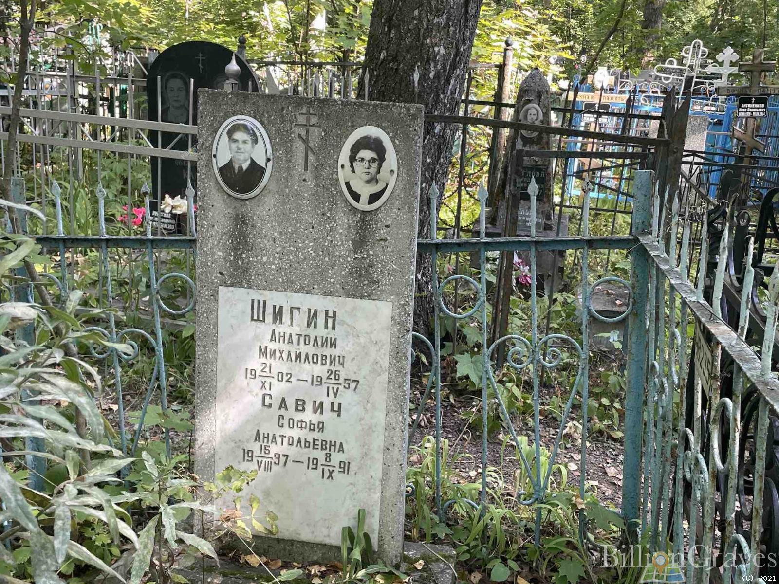 Савич Софья Анатольевна