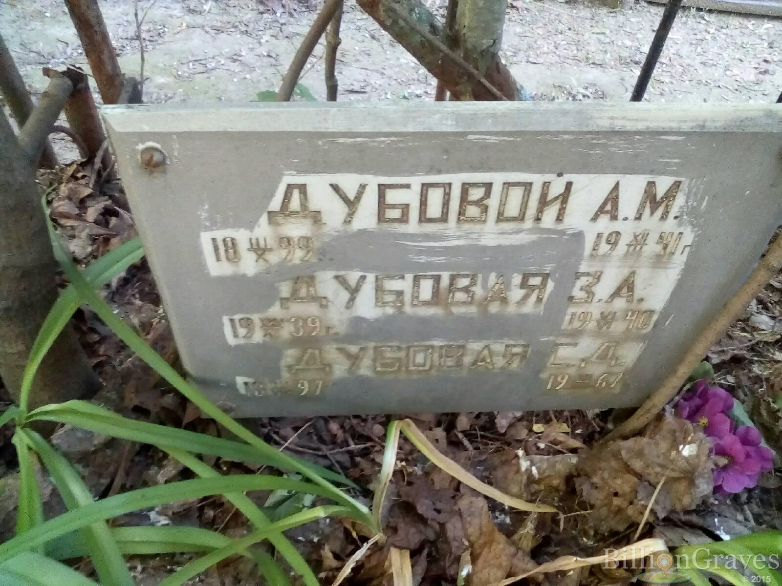 дубовой а. м.