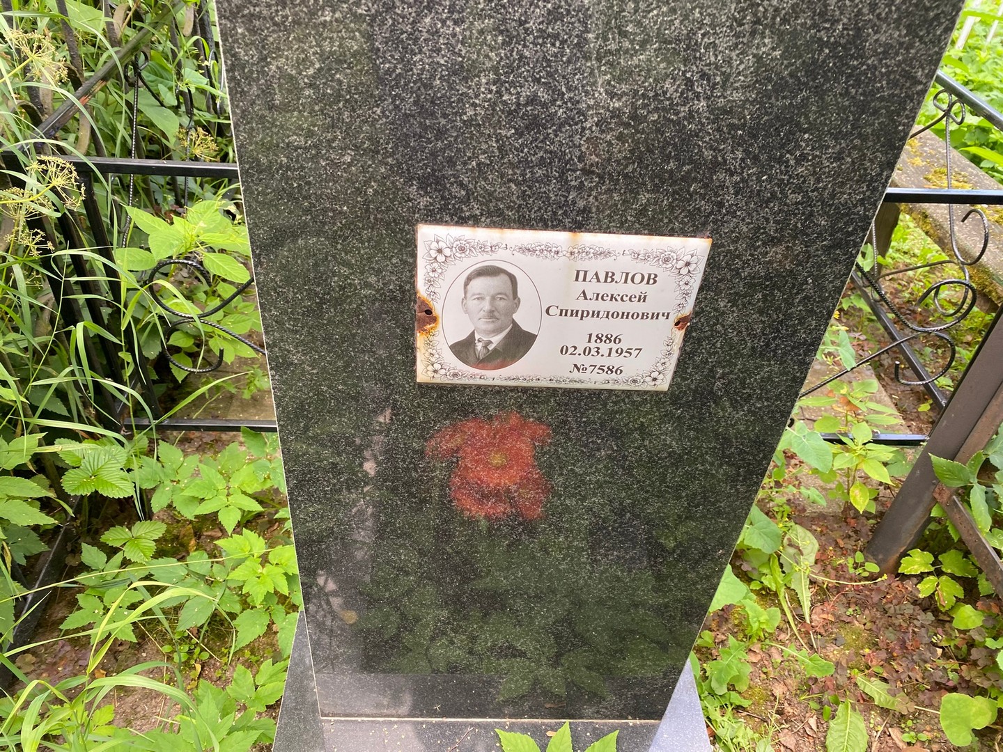 Павлов