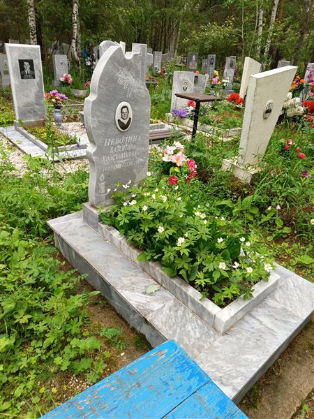 Неволина Валентина Константиновна