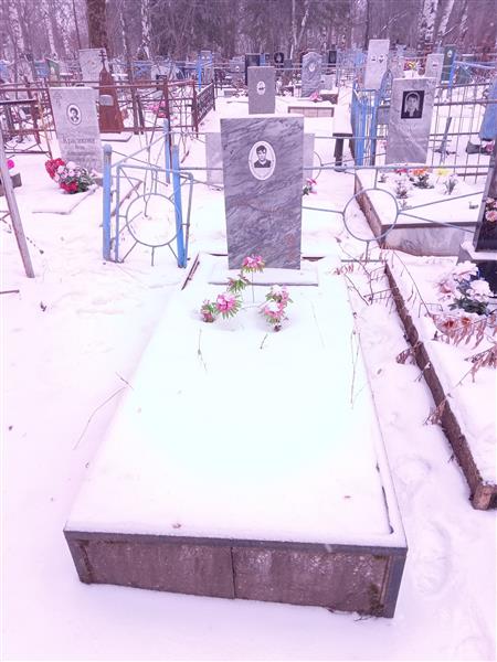 Гудовщиков Николай Алексеевич