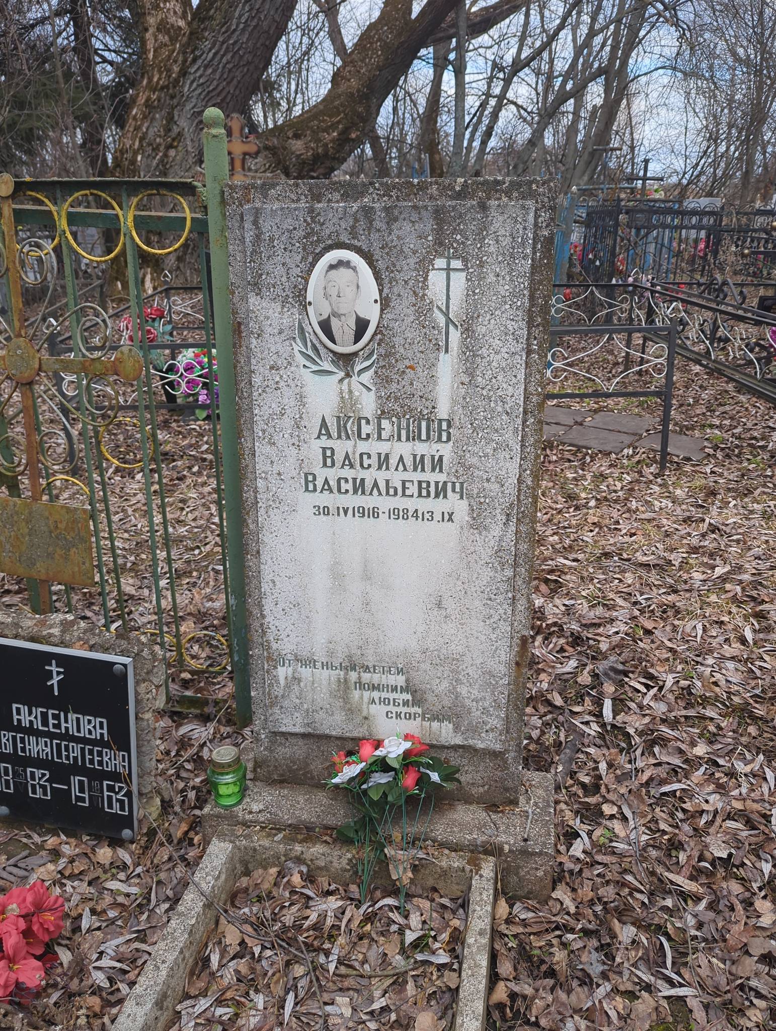 Аксенов Василий Васильевич