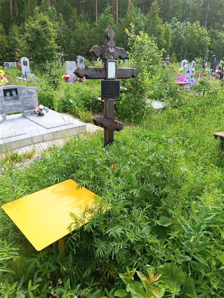 Шпега Степановна