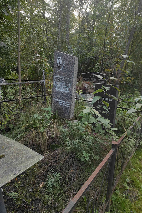Веселин Юрий Иванович