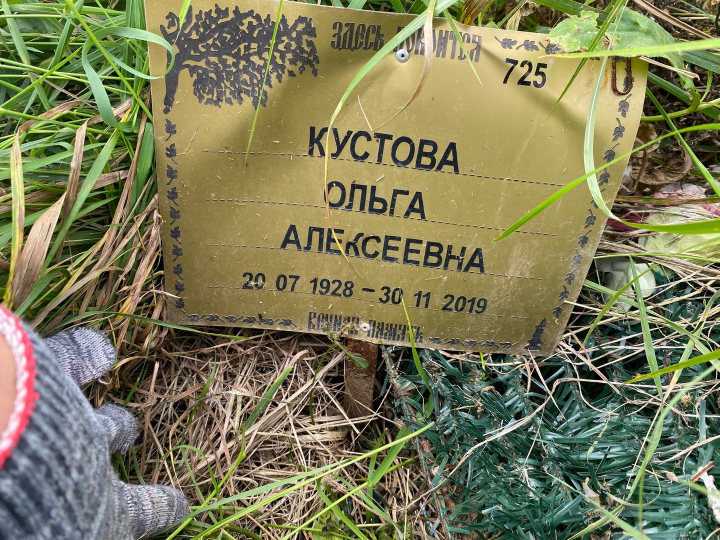 Кустова
