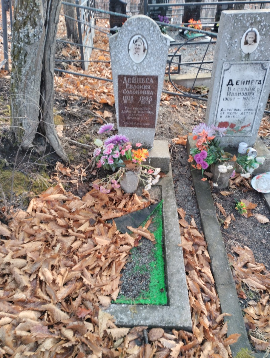 Дейнега Евдокия Созоновна