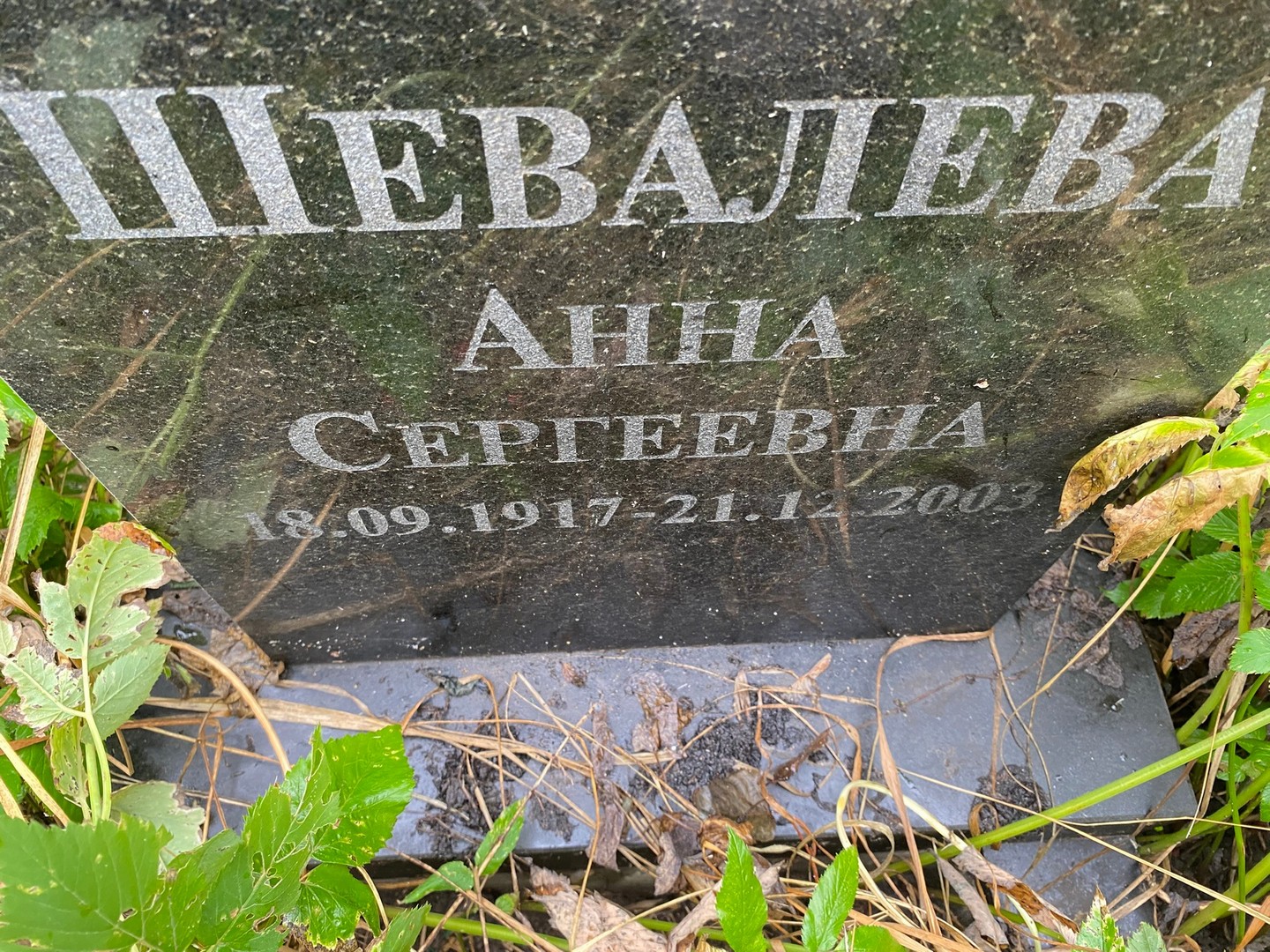 Шевалева