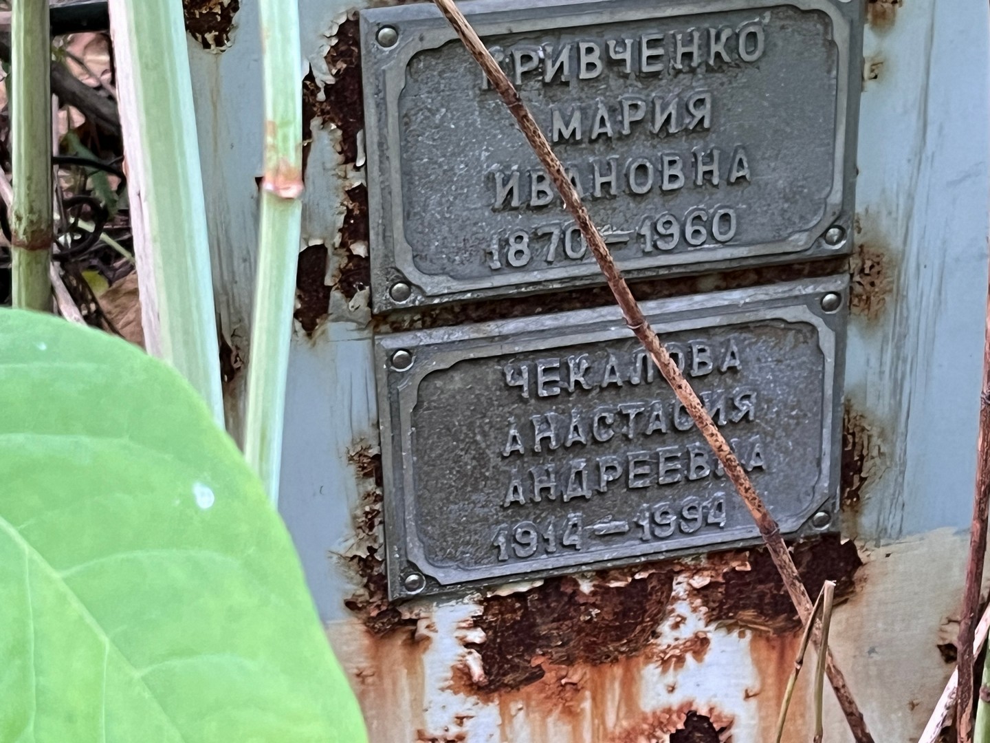 Кривченко