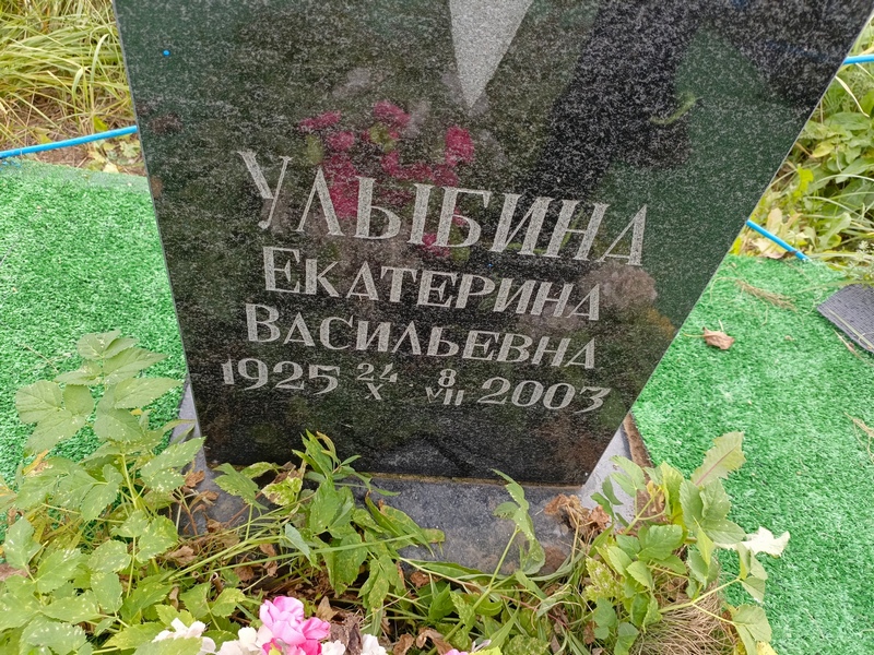 Улыбина