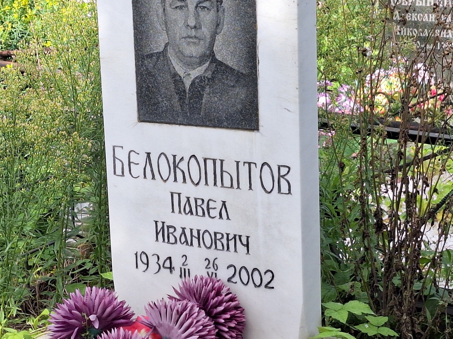 Белокопытов