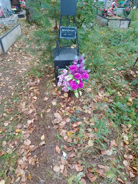 Воронин Георгий Дмитриевич