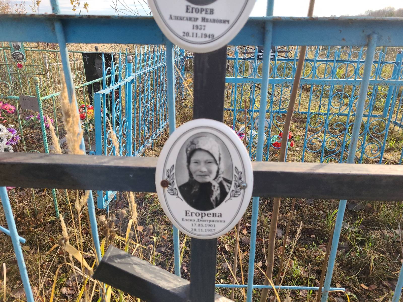 Егорева Елена Дмитриевна