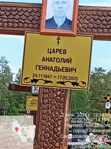Царев Анатолий Геннадьевич