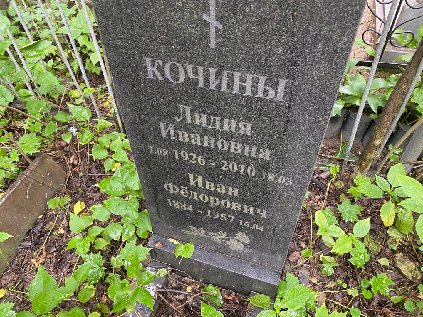 Кочина