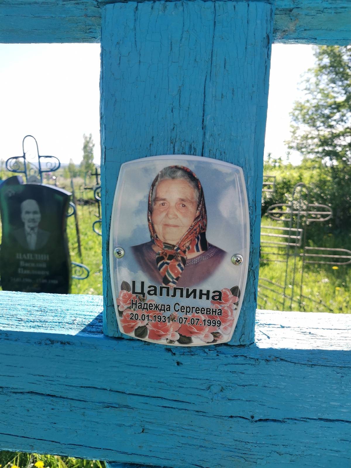 Цаплина Надежда Сергеевна