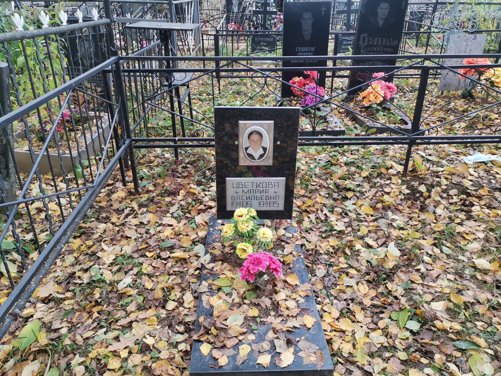 Цветкова Мария Васильевна