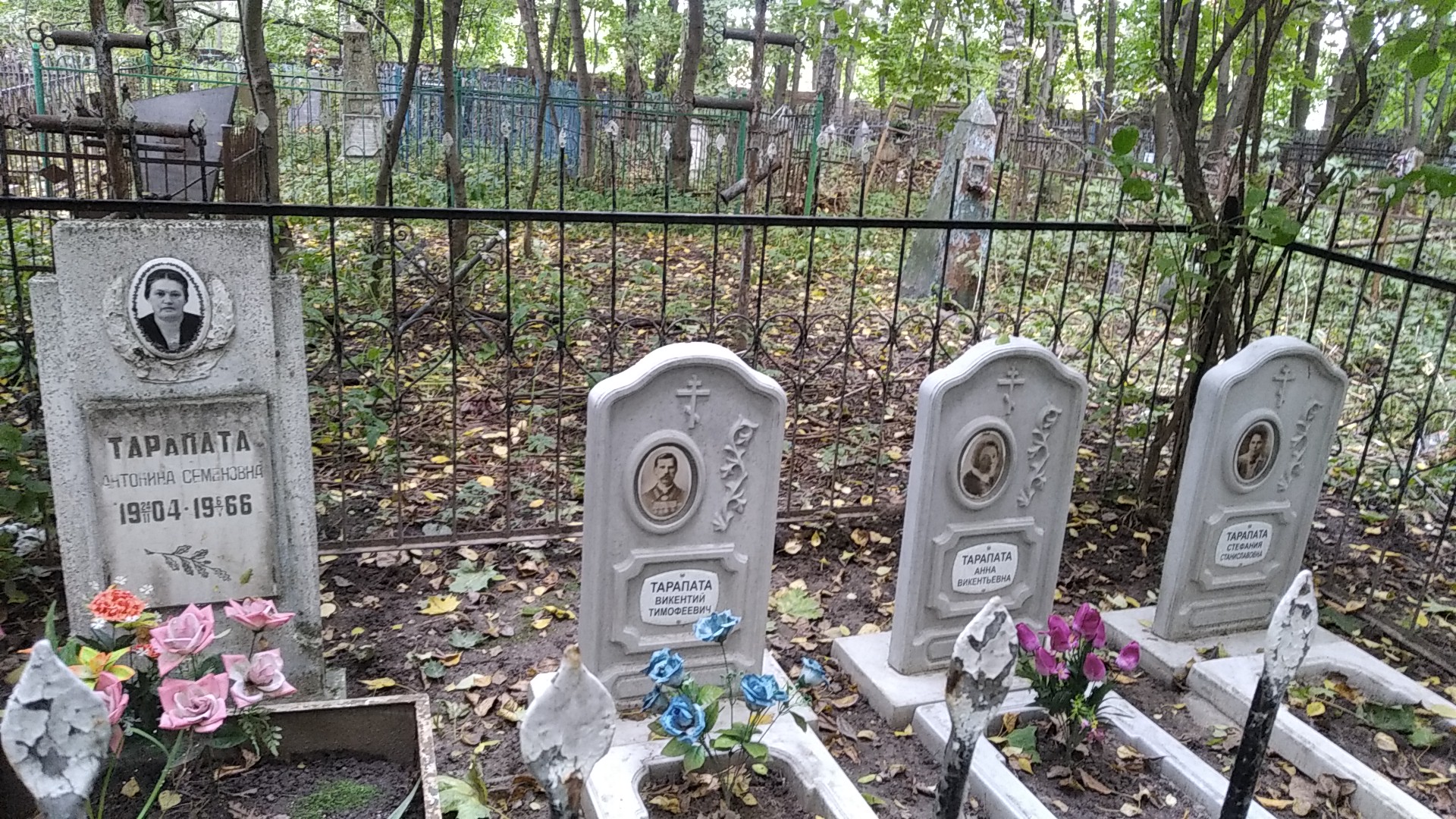 Тарапата Антонина Семеновна