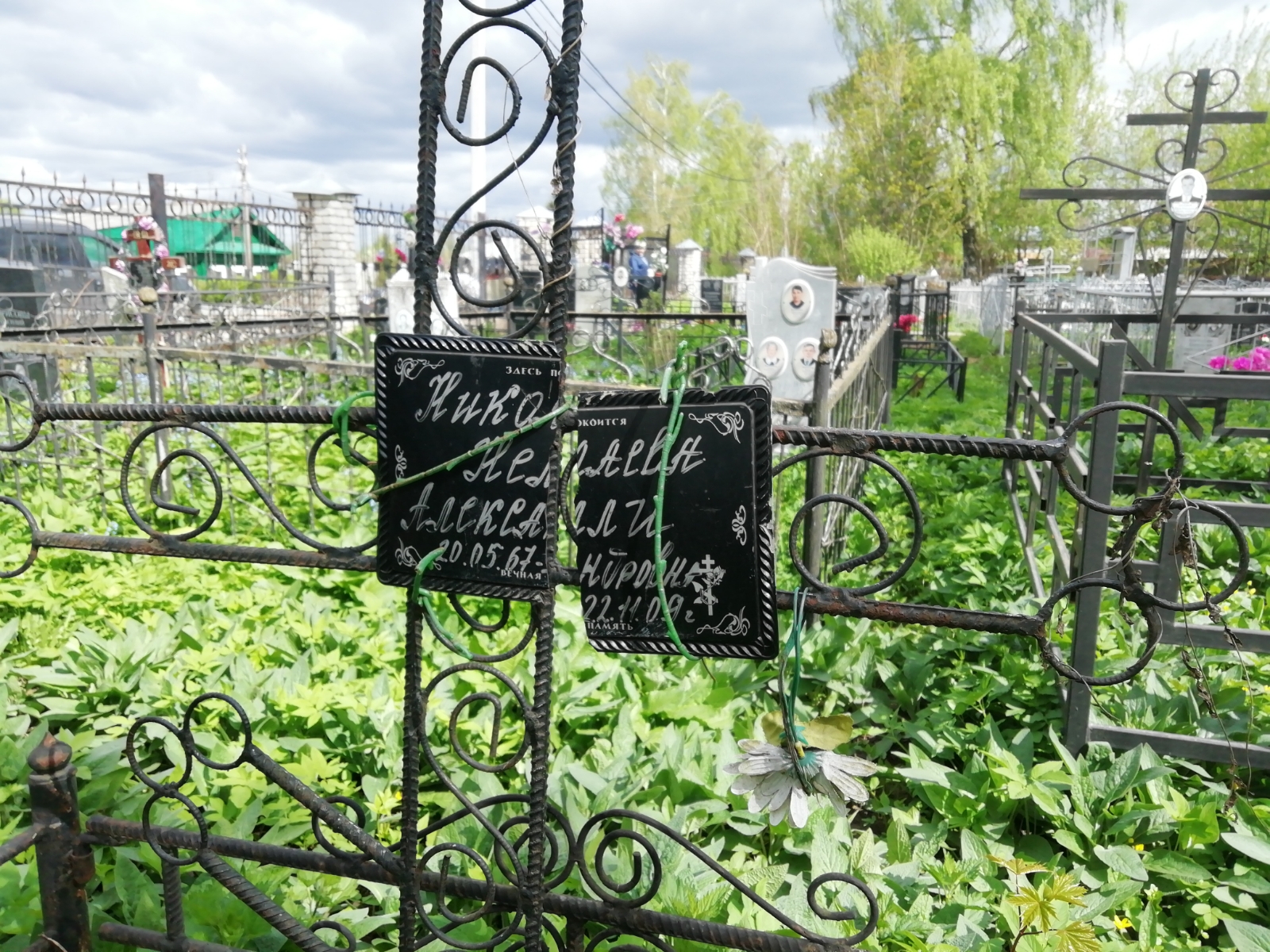 Николаева Нелли Александровна