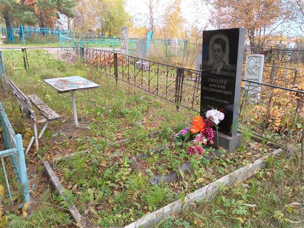 Гвоздев Дмитрий Владимирович