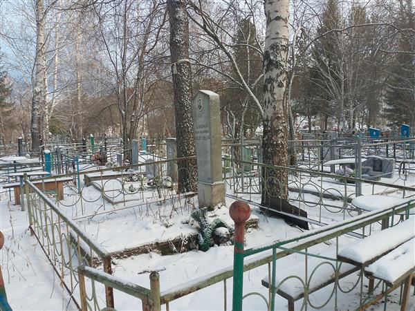 Хауптман Илья Иосифович