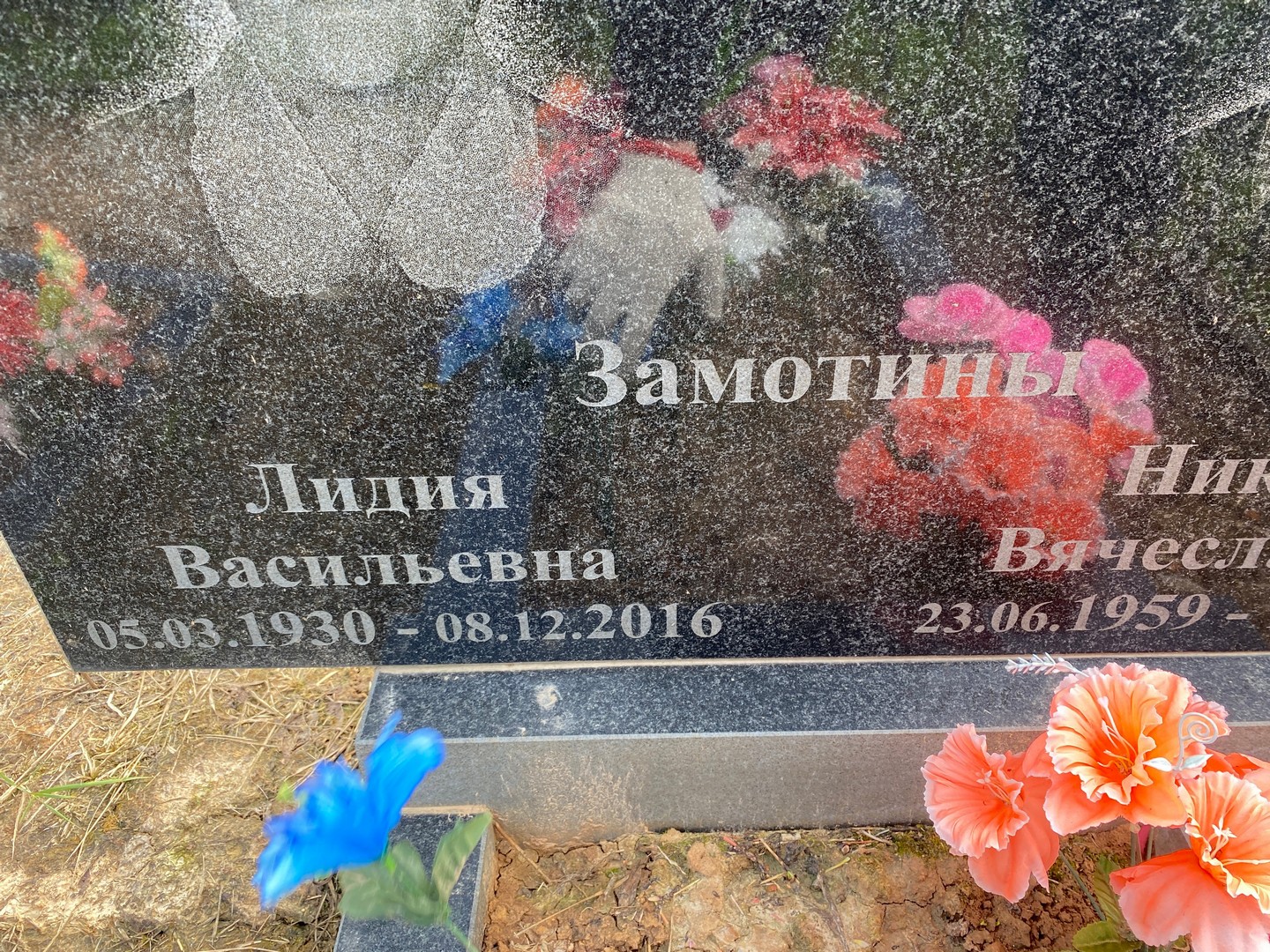 Замотина